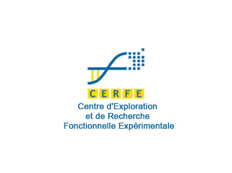 Logo CERFE