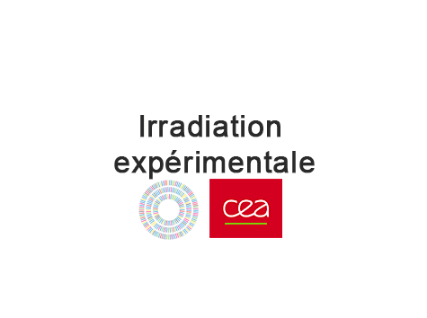 Logo Plateforme d'Irradiation expérimentale