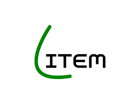 Logo LITEM