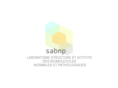 Logo SABNP
